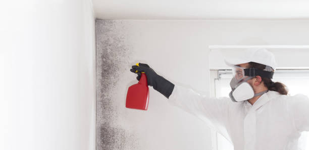 Best Home Mold Removal  in Arp, TX