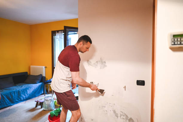 Best Professional Mold Removal  in Arp, TX